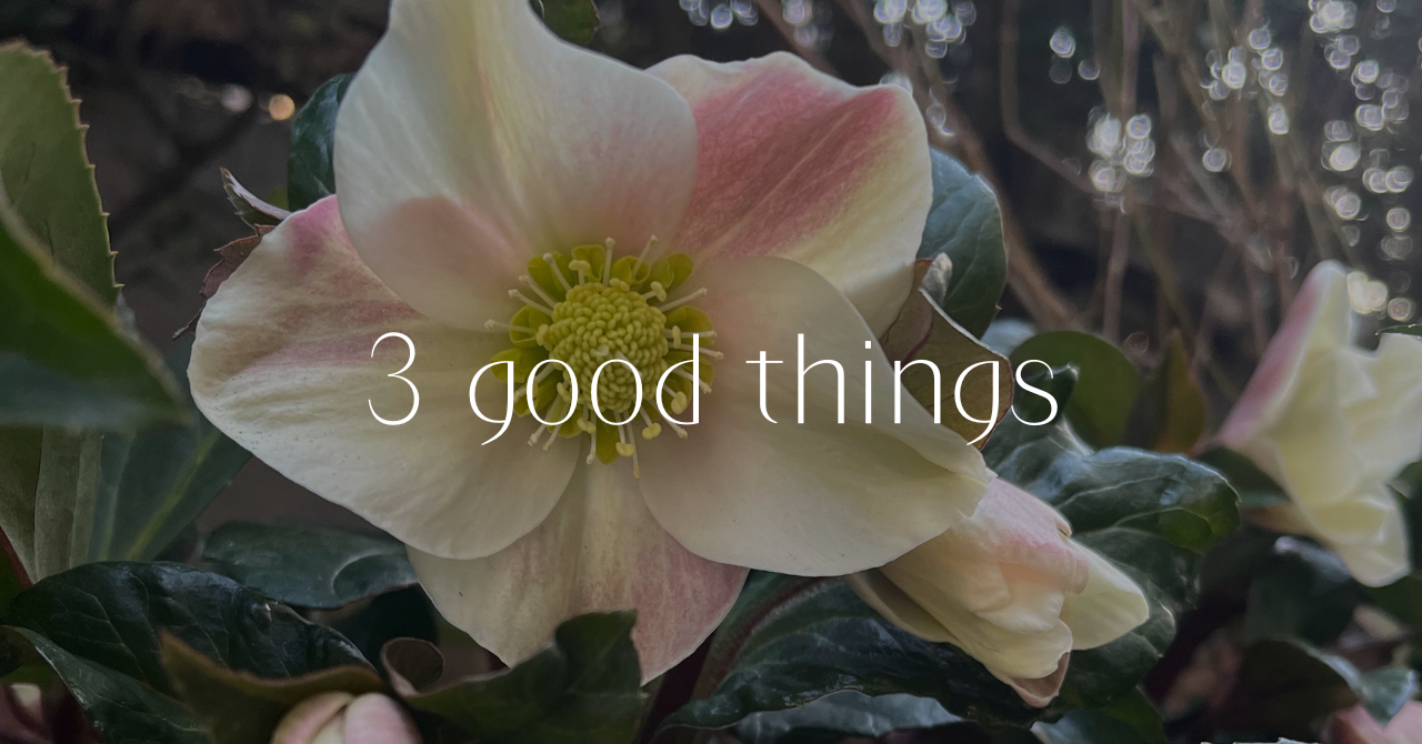 1/26(日) 3 good things 『嫌を分解する』